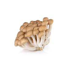 Funghi Marroni Shimeji Freschi - 150g