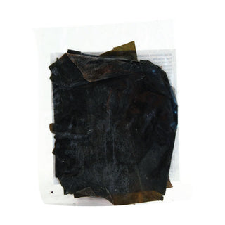 Alga Kombu Essicata - 50g