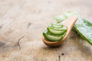 Aloe vera - la pianta dei faraoni