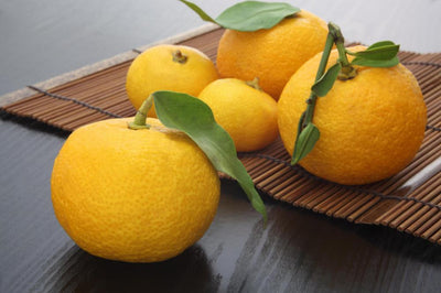 Yuzu