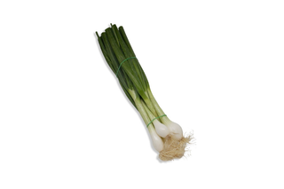 Cipollotto Fresco - 1mz