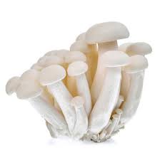 Funghi Bianchi Shimeji Freschi - 150g