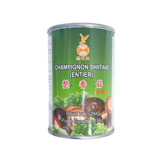 Funghi shiitake in acqua