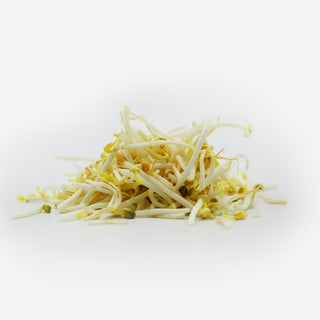 Germogli di soia circa 300g di Kathay