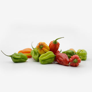 Hot pepper 0,2kg di Kathay
